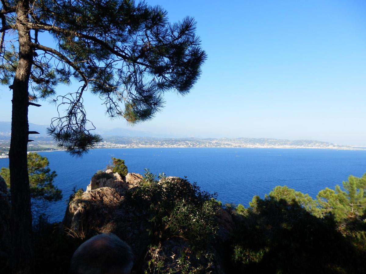 Esterel Terrasses, Roof Top, Plage, Parking Payant คานส์ ภายนอก รูปภาพ