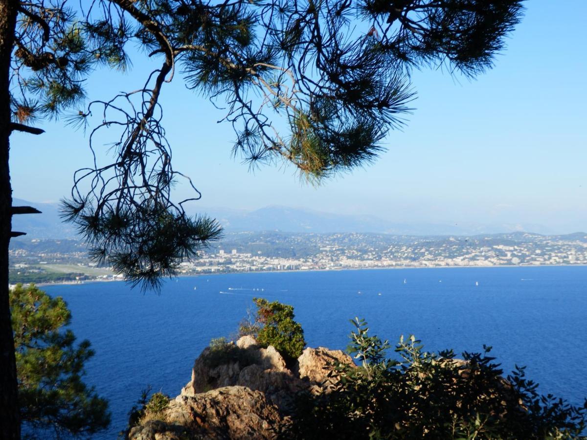 Esterel Terrasses, Roof Top, Plage, Parking Payant คานส์ ภายนอก รูปภาพ